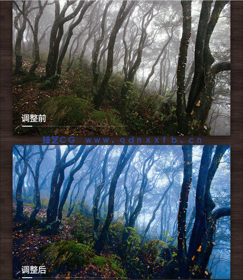 老邮差 Photoshop数码照片处理技法 色彩篇（修订版）(图10)