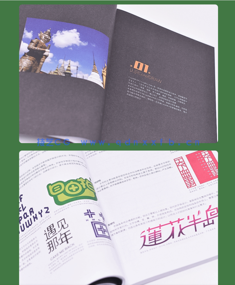 设计+制作+印刷+商业案例CorelDRAW实战教程(图7)