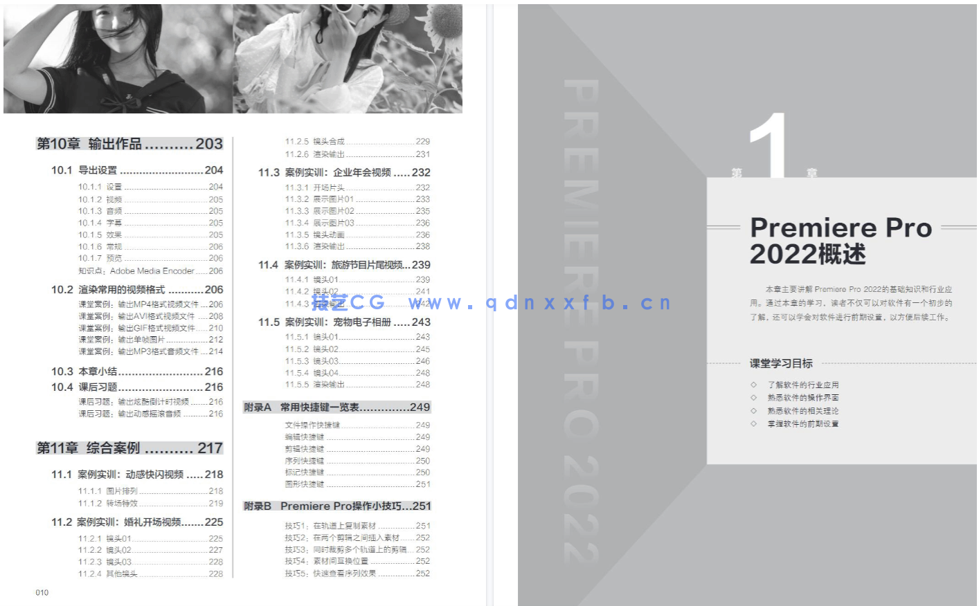 Premiere Pro 2022实用教程(图17)