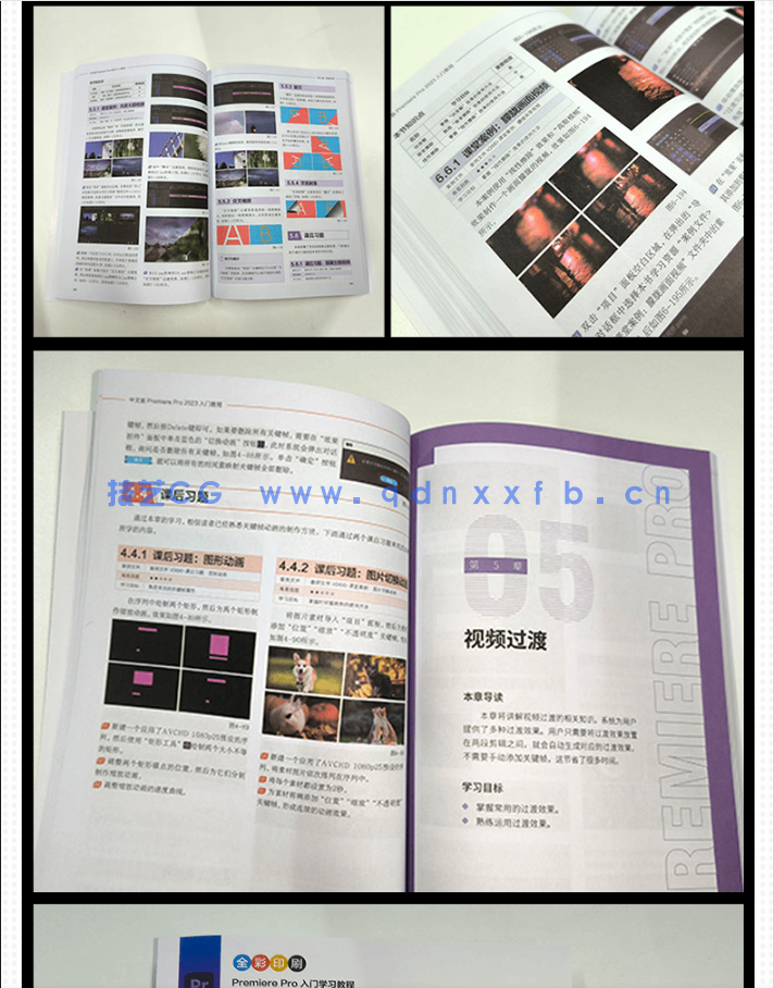 中文版Premiere Pro 2023入门教程(图14)