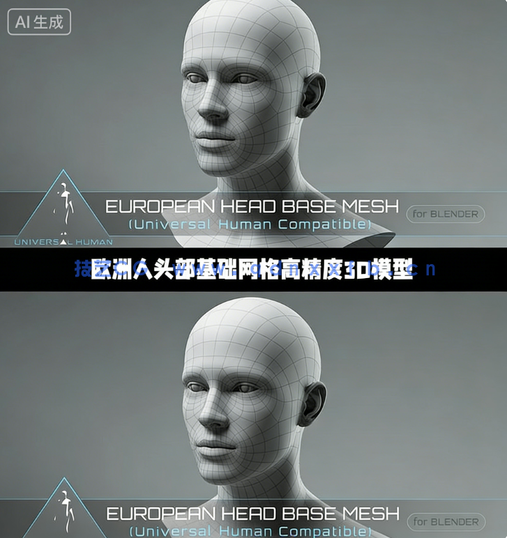 欧洲人头部基础网格高精度3D模型(图1)