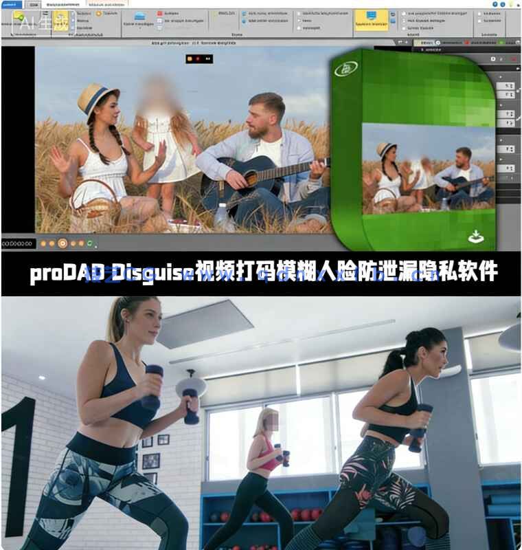 proDAD Disguise视频打码模糊人脸防泄漏隐私软件V2.0.219.1版(图1)