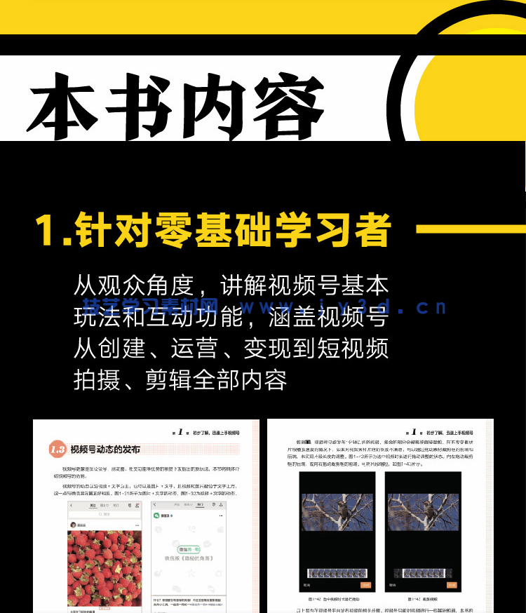 微信视频号全攻略 内容制作＋拍摄剪辑＋运营转化