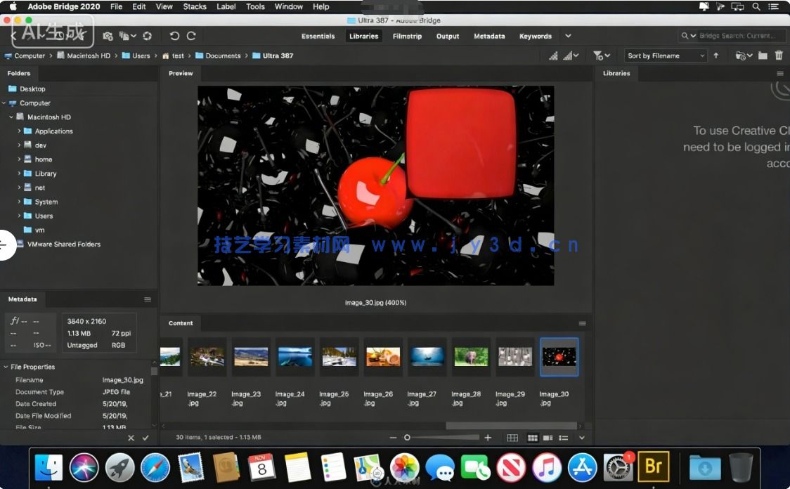 Adobe Bridge 2026数字资产管理与创意工作流枢纽软件V16.0.3版(图3)