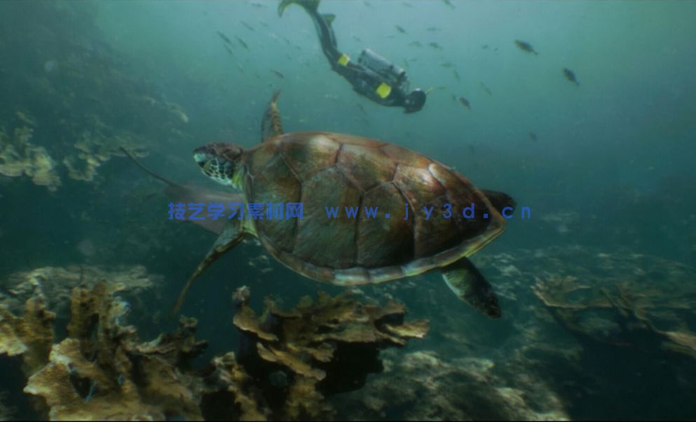  水下世界场景生成工具UE游戏素材(图7)