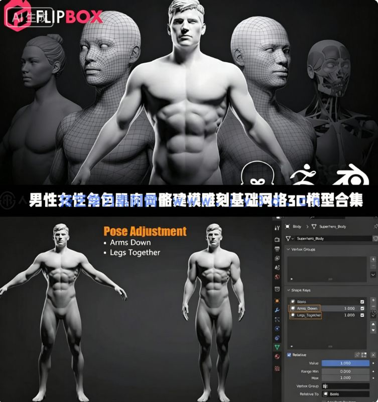 男性女性角色肌肉骨骼建模雕刻基础网格3D模型合集(图1)