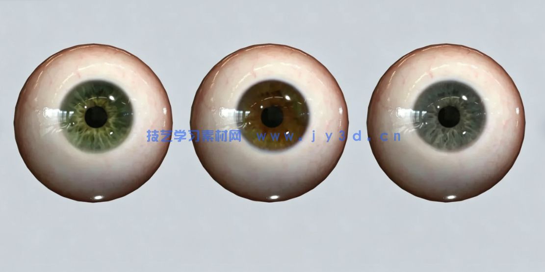 男性女性角色肌肉骨骼建模雕刻基础网格3D模型合集(图3)