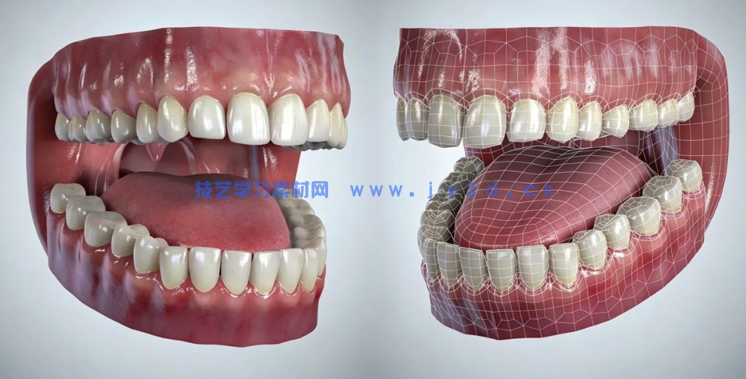 男性女性角色肌肉骨骼建模雕刻基础网格3D模型合集(图8)