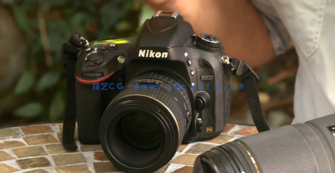 野外自然植物昆虫宏观摄影视频教程(图4)